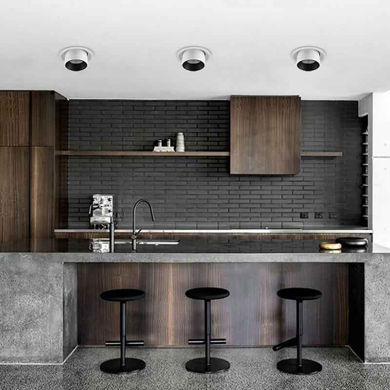 Telescopic 10W COB LED Ceiling lamps Down Light AC110V to AC240V Cool/Warm White LED Recessed Downlight Lamp