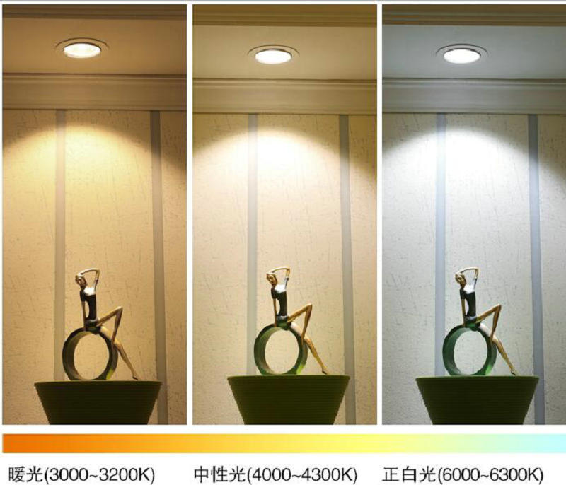 Mini LED Downlights 3W 110V-240V 12V embedded Jewelry Display Ceiling Recessed Cabinet Spot Lamp