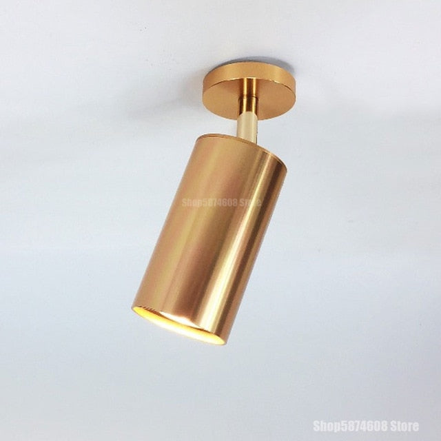 Modern Led Ceiling Light Surface Mounted Ceiling Downlight LED Spot Lighting Ceiling Lamp Living Room Kitchen Indoor Fixtures