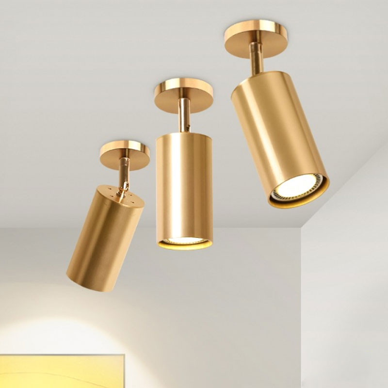 Modern Led Ceiling Light Surface Mounted Ceiling Downlight LED Spot Lighting Ceiling Lamp Living Room Kitchen Indoor Fixtures