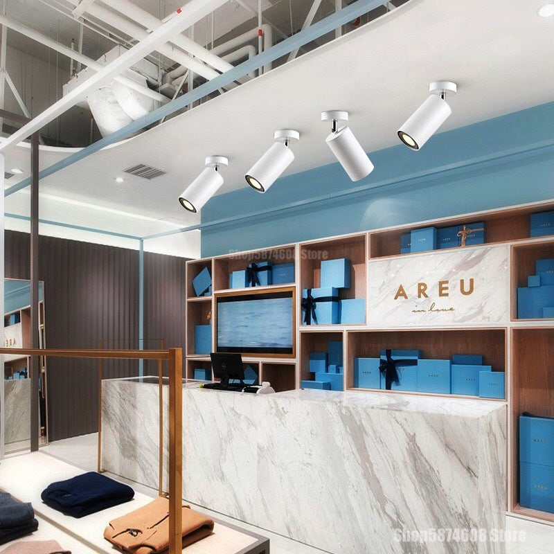 Modern Led Ceiling Light Surface Mounted Ceiling Downlight LED Spot Lighting Ceiling Lamp Living Room Kitchen Indoor Fixtures