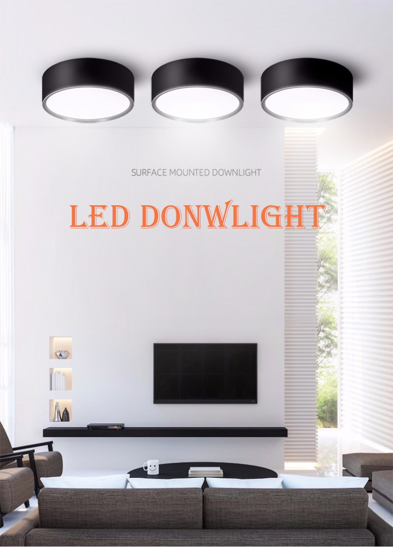 Led Downlights 220V 110V Surface Mounted 5/10/15/25W Mini Spot Led Down Light Lamp Foldable Downlights Home Lighting Living Room
