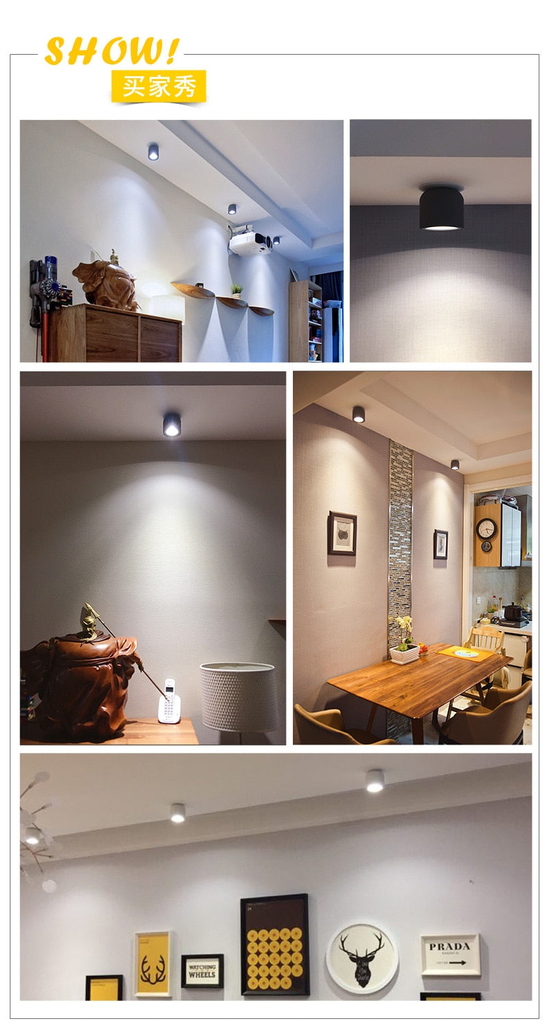 LED wall mounted downlight ceiling cob Nordic spotlights living room Corridor Home Round Scandinavian Spotlight Villa COB lamp