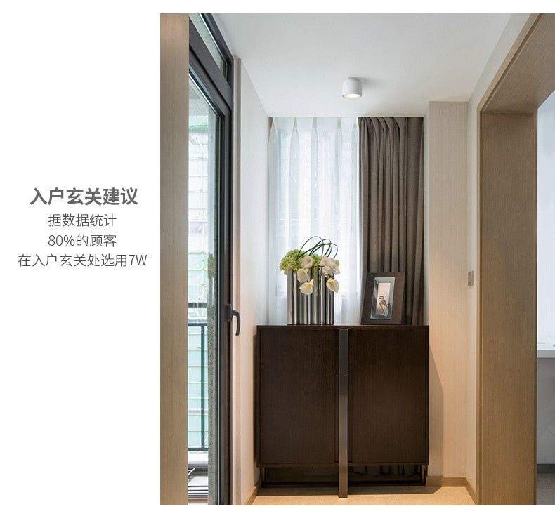 LED wall mounted downlight ceiling cob Nordic spotlights living room Corridor Home Round Scandinavian Spotlight Villa COB lamp