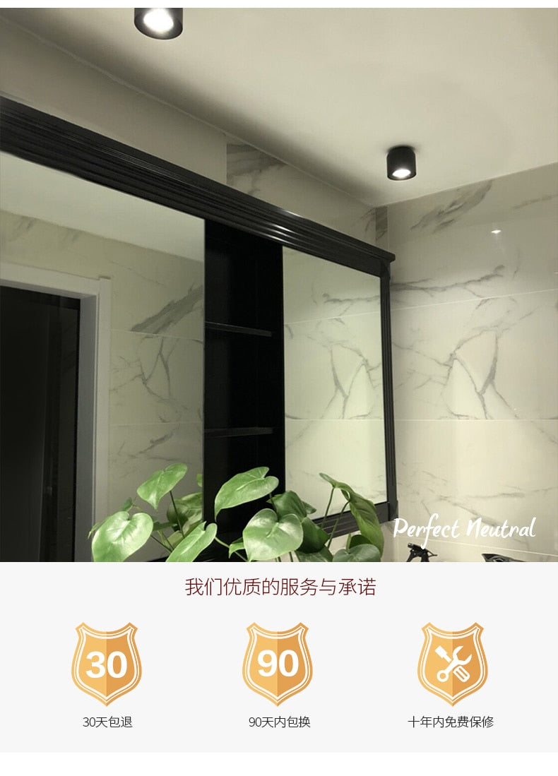 LED wall mounted downlight ceiling cob Nordic spotlights living room Corridor Home Round Scandinavian Spotlight Villa COB lamp