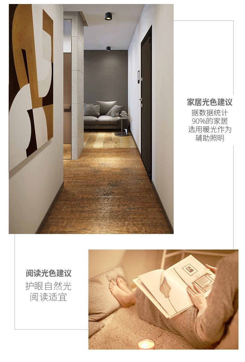 LED wall mounted downlight ceiling cob Nordic spotlights living room Corridor Home Round Scandinavian Spotlight Villa COB lamp