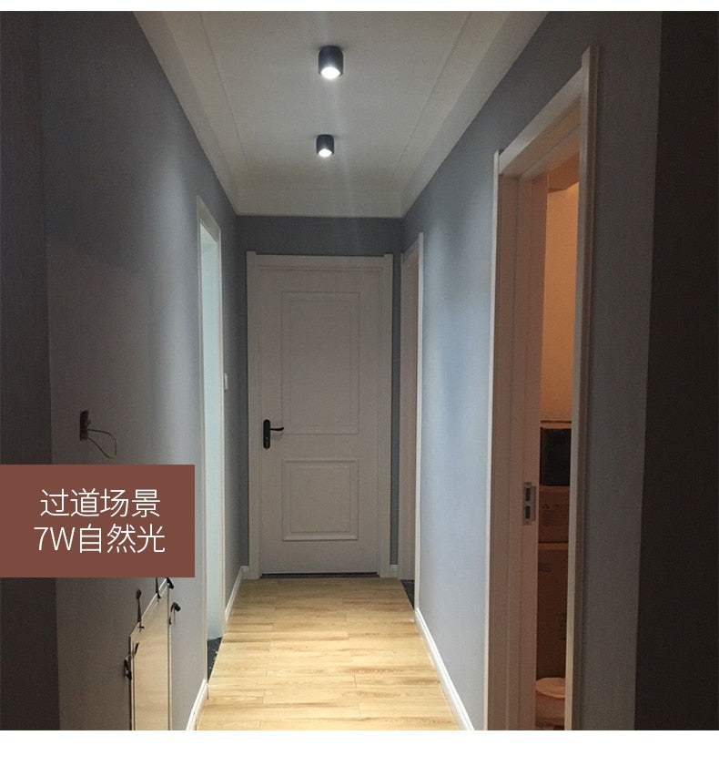 LED wall mounted downlight ceiling cob Nordic spotlights living room Corridor Home Round Scandinavian Spotlight Villa COB lamp