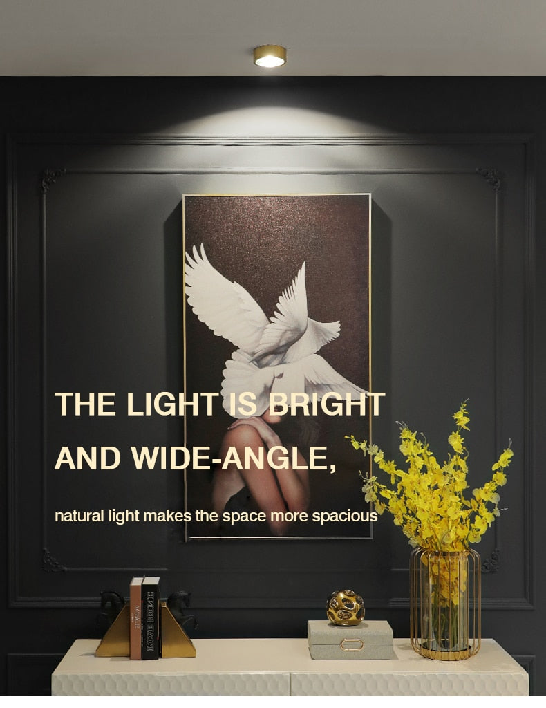 MOONSHADOW Full Copper Led Downlights Ultra-thin Surface Mounted Downlight Nordic Ceiling Porch Corridor Aisle Light 220V