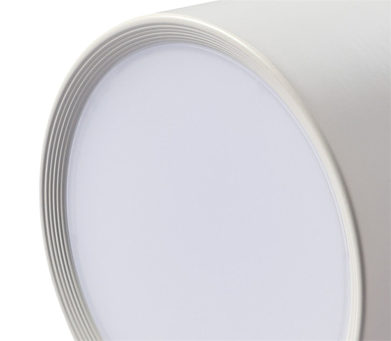 Surface Mounted 5W 7W 9W 12W 15W LED downlight Driverless Ceiling Lamps led spot lights Ceiling Fixtures Lighting Indoor Light