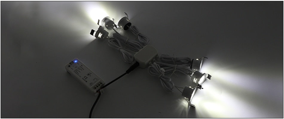 LEDIARY 12V Mini Spot Led Downlight Dimmable 24 Lamps Four Control Memory Remote Can Be Set Driver 6/12 Lamps Single Controller