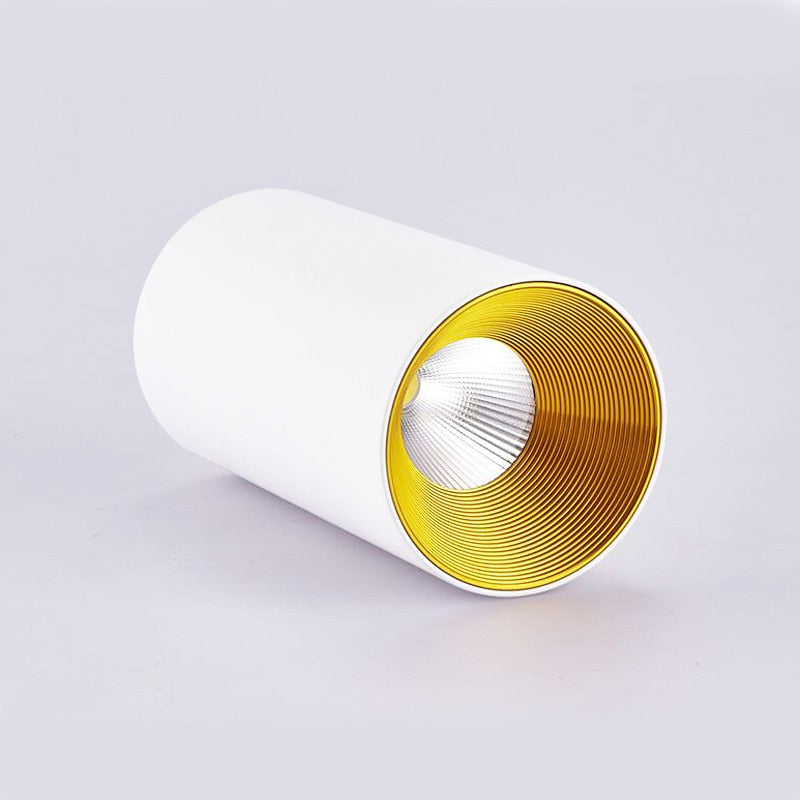 Surface Mounted Cylindrical LED Downlight Gold Reflector 10W 12W 15W LED Ceiling Bulbs Lamp Spot Light LED Downlight AC110-220V