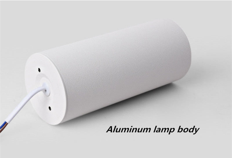 Surface Mounted Cylindrical LED Downlight Gold Reflector 10W 12W 15W LED Ceiling Bulbs Lamp Spot Light LED Downlight AC110-220V