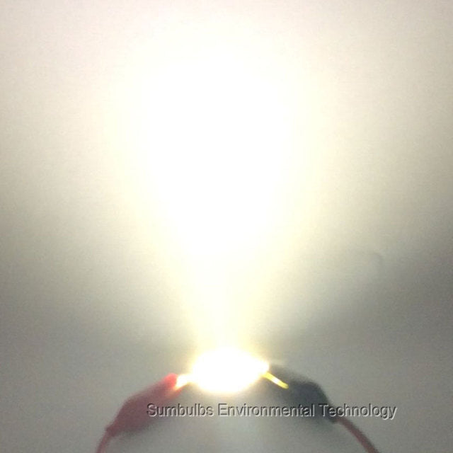 LED Rounded 10PCS 28MM 3W 5W 7W 10W 12W Chip On Board COB Light Source Warm Nature Cold White for Spotlight Downlight DIY 2820