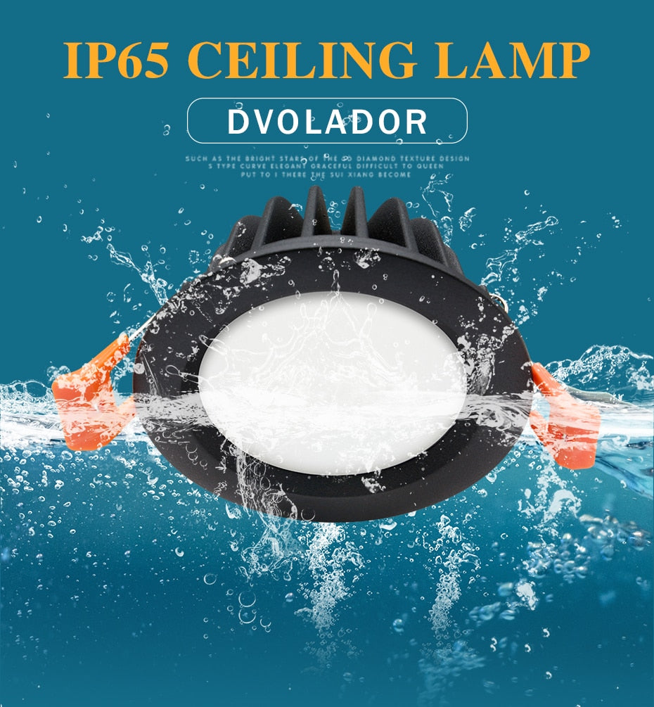 Bathroom Waterproof LED Downlight 15W 12W IP65 Recessed LED lamp lights for Outdoor waterproof Spot light AC220V 110V