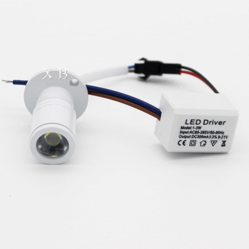 led recessed cabinet mini spot light 1W 3W AC85-265V downlight 12V DC jewelry show Include Led Driver 4000K Ceiling light lamp