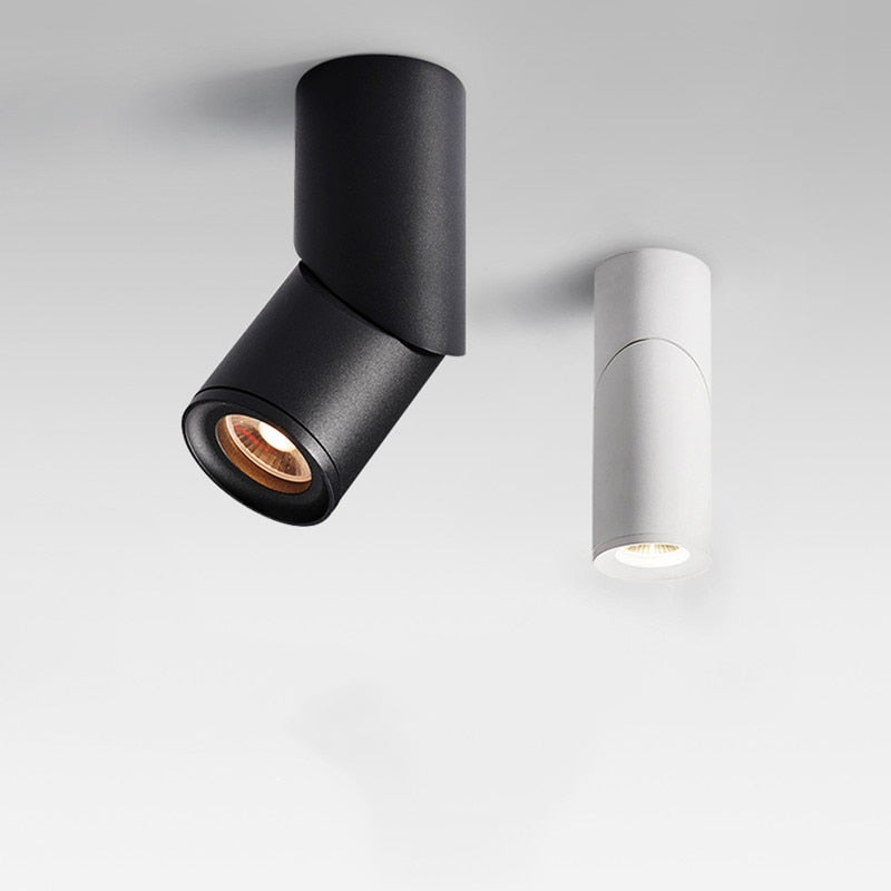 Dimmable Rotating Led Downlights Cob Ceiling Spot Lights AC220V 240v Led Lamp Indoor Room Lighting TV Background Bedroom 20W