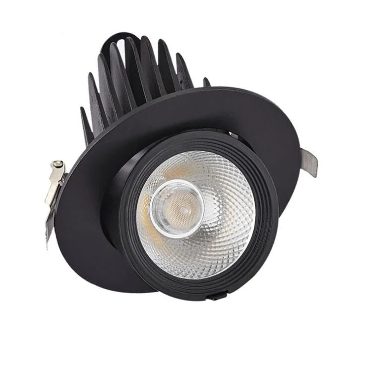 LED trunk light COB LED gimbal light 10W 15W 30W Warm White Cold White COB LED gimble lamp rotatable led downlight Adjustable