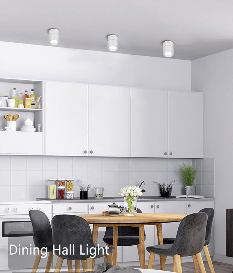 Adjustable LED Spotlights 7W 10W 15W Led Spot Light Lamp Ceiling Spots Track Lights Lighting Spotlight for Home Kitchen Bedroom