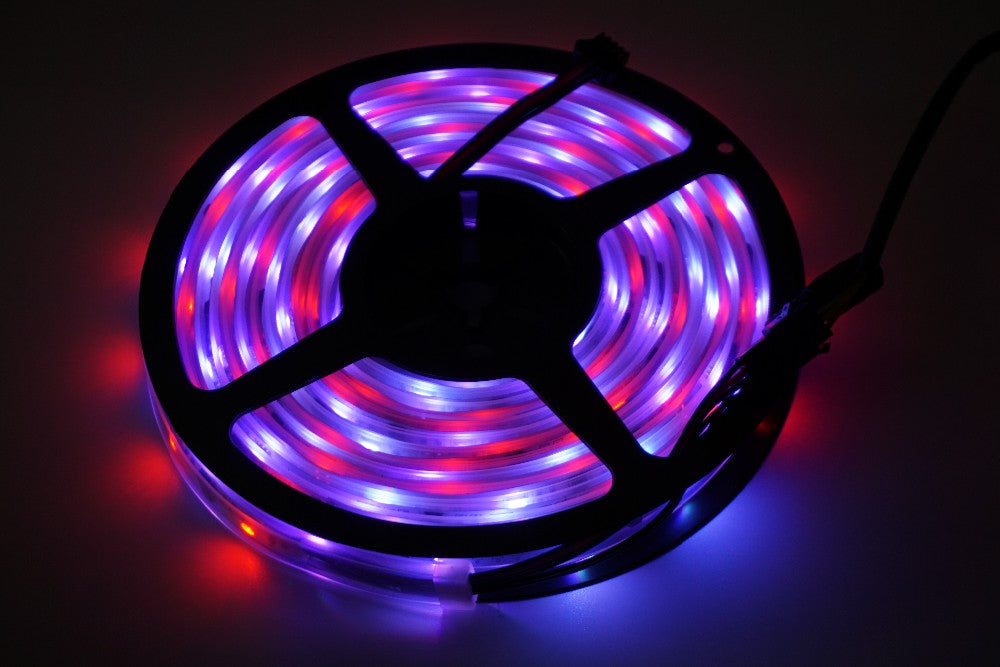 Led Strip Light DC12V 6803IC 5m RGB Dream Color IP67 Waterproof Flexible Light 5050SMD 150LED + RF Remote Controller