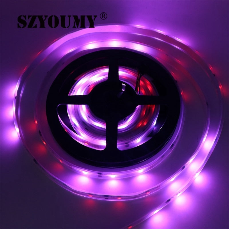 SZYSOUMY RGB dream magic 5050 SMD led strip DC12V 6803 IC IP67 Tube LED Strip 150LED flexible light+133 Program RF controller