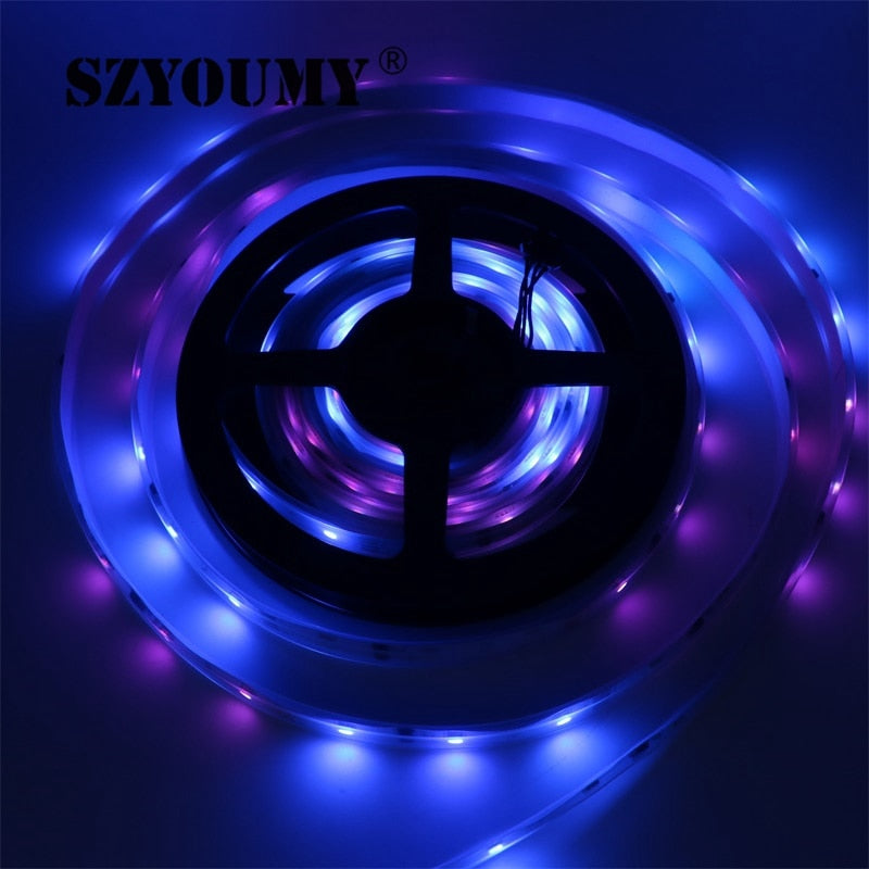 SZYSOUMY RGB dream magic 5050 SMD led strip DC12V 6803 IC IP67 Tube LED Strip 150LED flexible light+133 Program RF controller