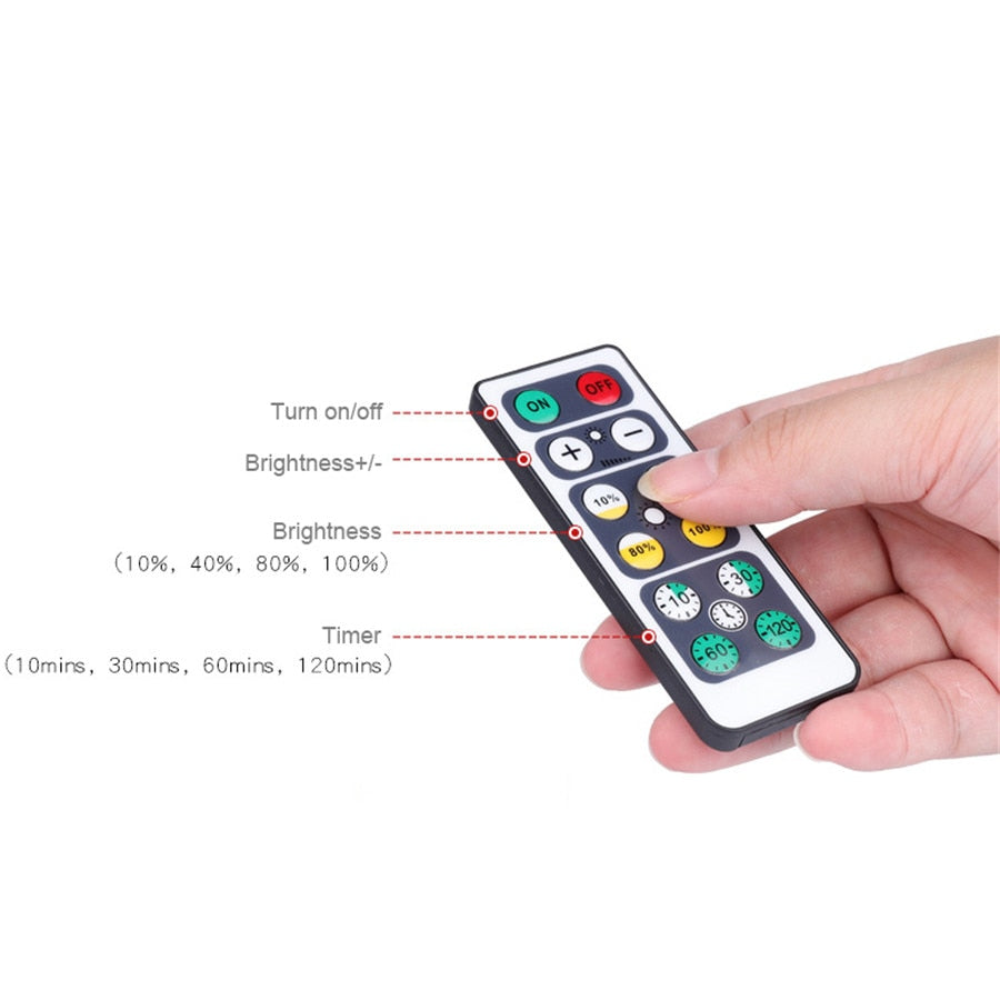 LED Downlight 2 Sets 3W Battery Powered Home Ceiling Spot Light & Remote Controller & Timer Bedroom Lamp Fixture (White)