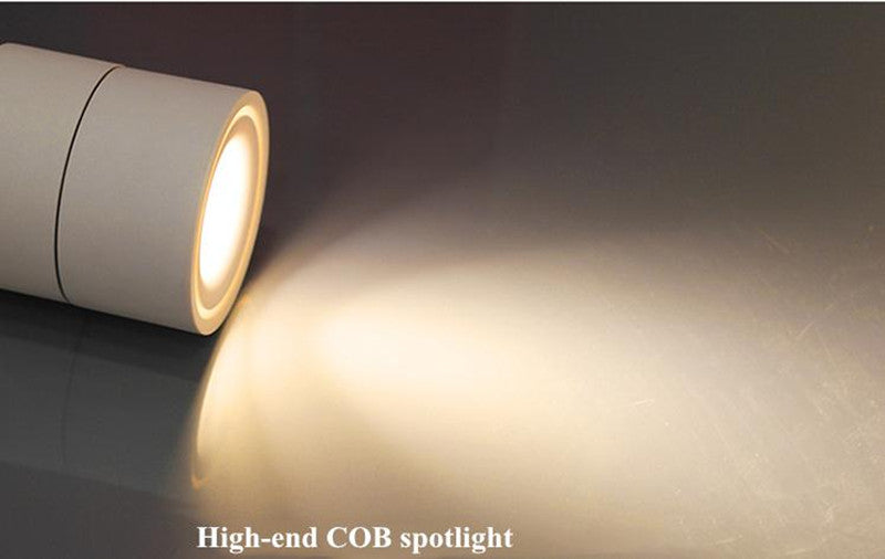 Surface Mounted 350 Degree COB Led Downlight Dimmable 14W 18W Ceiling Lamps Light Black White AC90-260V Hotel Led Spot Lighting