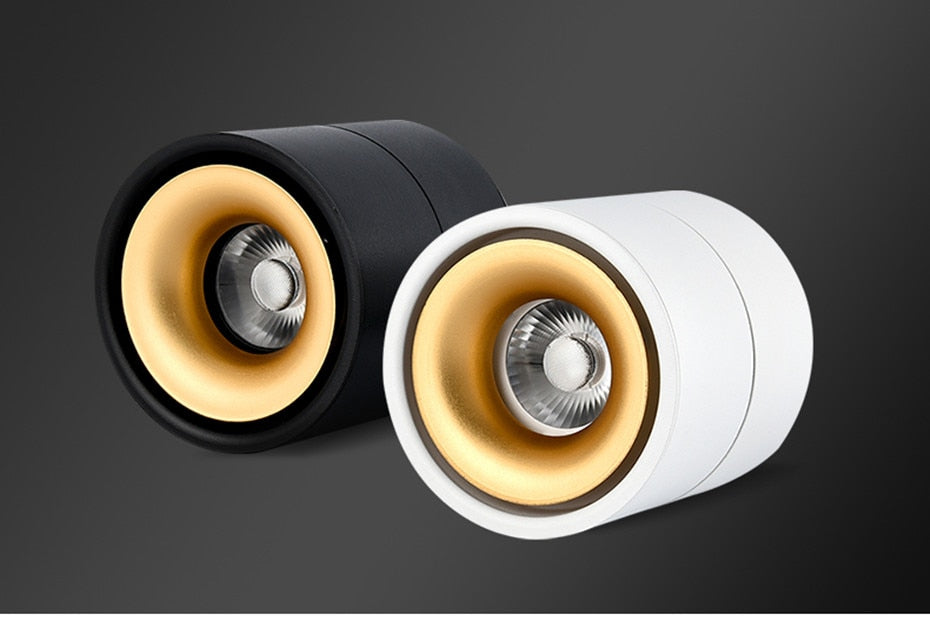 Dimmable led ceiling light 12W/18W LED surface mounted ceiling downlight lamp Foldable and 360 degree rotatable led spot light