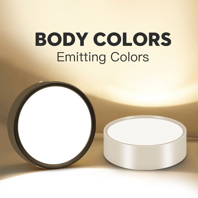 Mini Small LED Ceiling Lamp 220V Led Ceiling Lights 5/10/15/25W Spot Led Lighting Fixture Panel Light for Living Room Bedroom