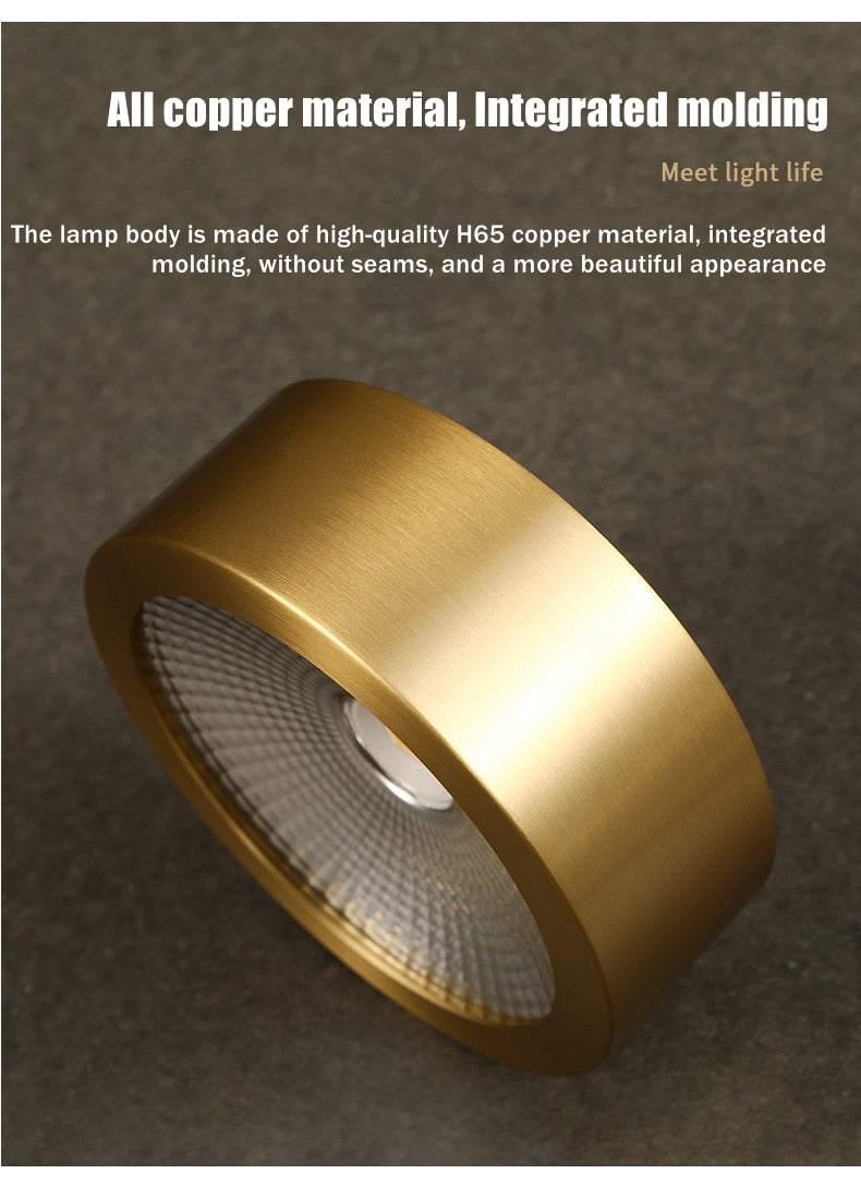 Full Copper Aluminum 220V LED Ceiling Downlight Nordic Hallway Corridor Porch Surface Mounted Brass 6W 8W 10W Spot Light Fixture
