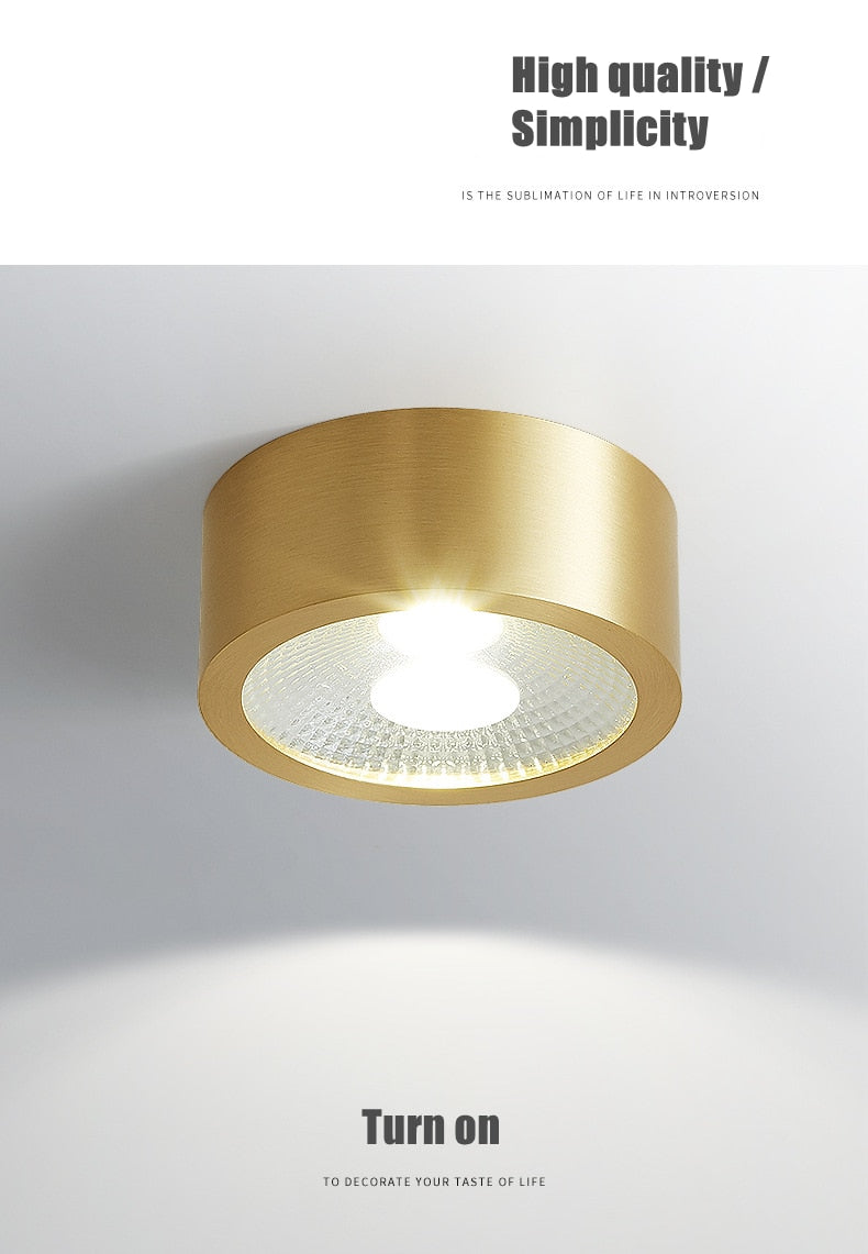 Full Copper Aluminum 220V LED Ceiling Downlight Nordic Hallway Corridor Porch Surface Mounted Brass 6W 8W 10W Spot Light Fixture