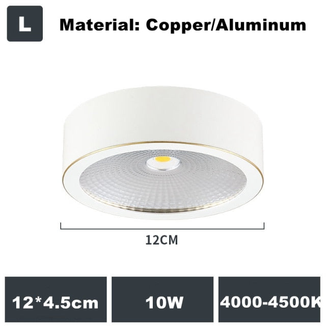 Full Copper Aluminum 220V LED Ceiling Downlight Nordic Hallway Corridor Porch Surface Mounted Brass 6W 8W 10W Spot Light Fixture
