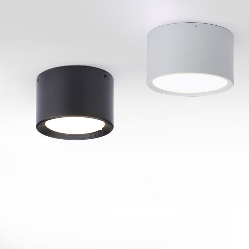 Surface Mounted LED Downlight 7W 9W 15W 18W 24W 30W Dimmable 110V 220V Simple Ceiling Spot Lamp Black and White Indoor Lighting