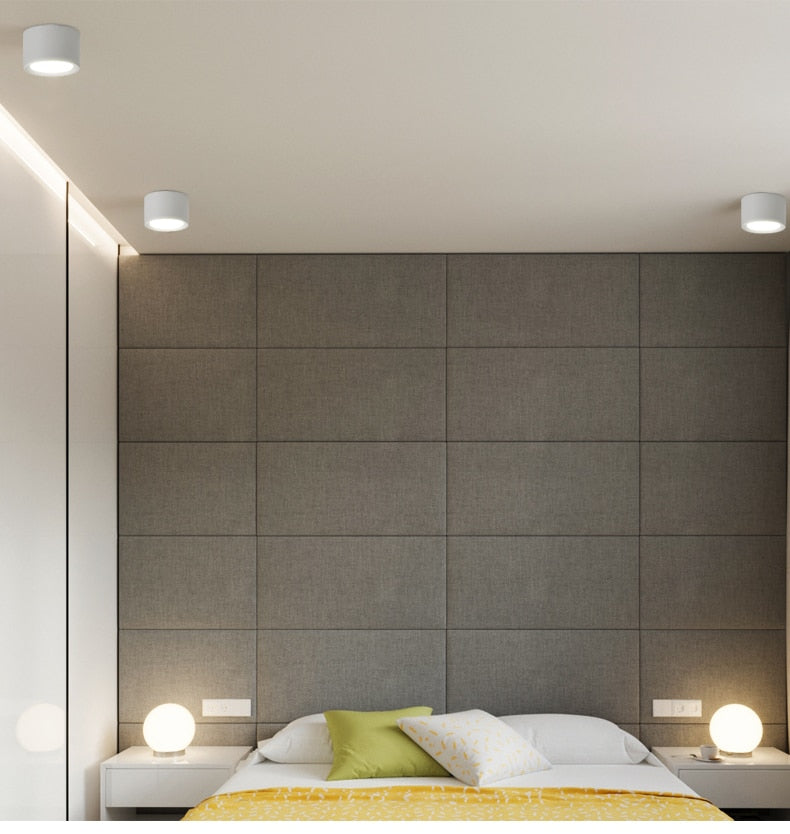 Surface Mounted LED Downlight 7W 9W 15W 18W 24W 30W Dimmable 110V 220V Simple Ceiling Spot Lamp Black and White Indoor Lighting