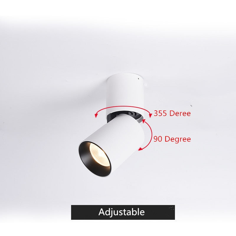 Surface Mounted Ceiling Downlight LED Spot light Adjustable 360 degrees for indoor Foyer,Living Room Kitchen 7W/12W AC220V