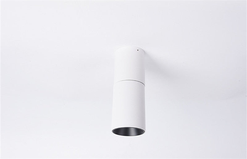 Surface Mounted Ceiling Downlight LED Spot light Adjustable 360 degrees for indoor Foyer,Living Room Kitchen 7W/12W AC220V