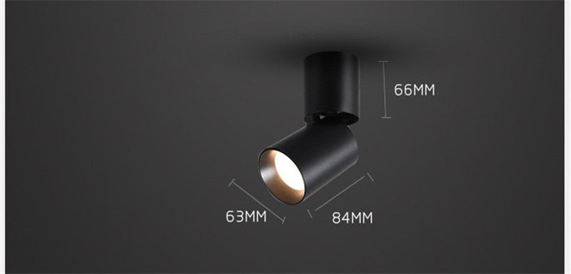 Surface Mounted Ceiling Downlight LED Spot light Adjustable 360 degrees for indoor Foyer,Living Room Kitchen 7W/12W AC220V