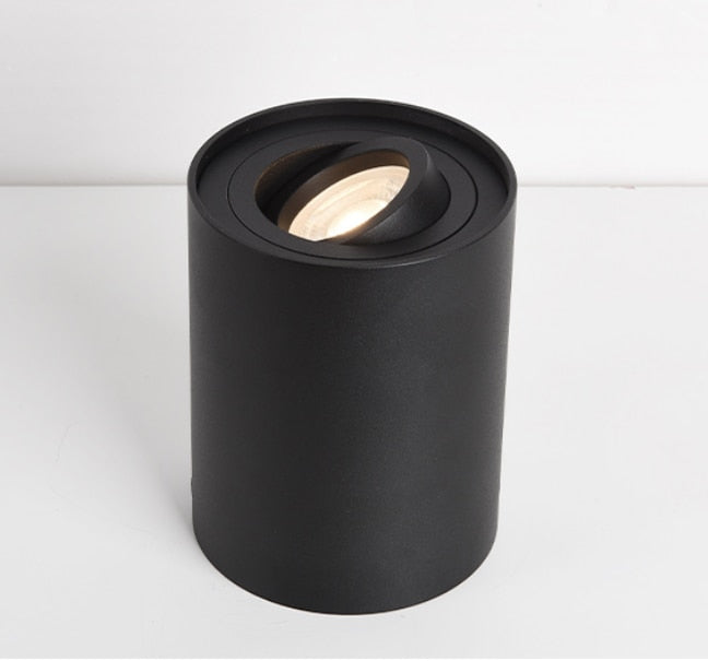 Dimmable Rotating 360° LED Downlights 10W 30W COB LED Ceiling Spot Lights GU10 Light Source LED Background Lamps Indoor Lighting