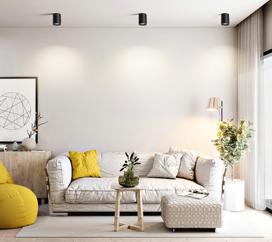 Dimmable Rotating 360° LED Downlights 10W 30W COB LED Ceiling Spot Lights GU10 Light Source LED Background Lamps Indoor Lighting