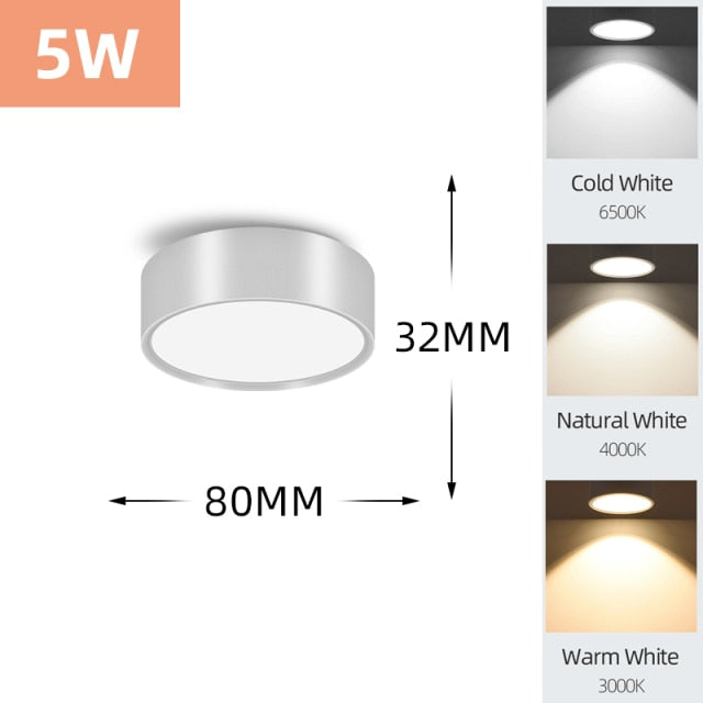 Mini Small LED Ceiling Lamp 220V Led Ceiling Lights 5/7/10/15/25W Led Downlight Spot Panel light for Living Room Bedroom