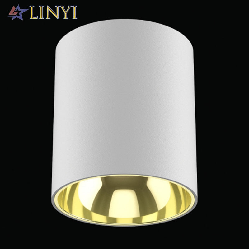 IP65 Waterproof Surface Mounted Downlight Deep Anti-glare Outdoor Lighting Balcony Led Ceiling Spotlight 10W 30W 50W 80W 100W