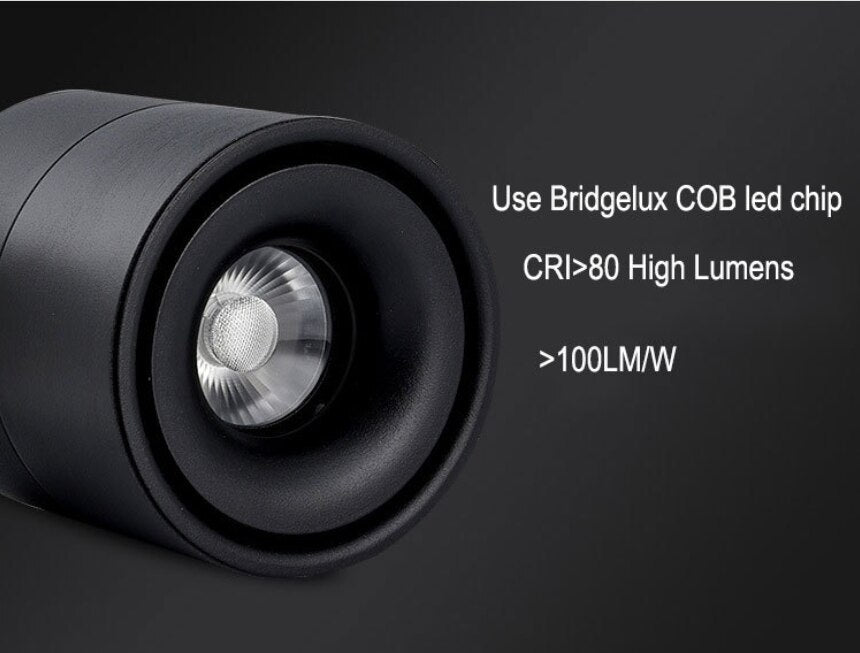 Adjustable Recessed Ceiling Downlights 7W 10W 15W Dimmable LED Recessed lamp Nordic Spot light for indoor Spot lighting fixture