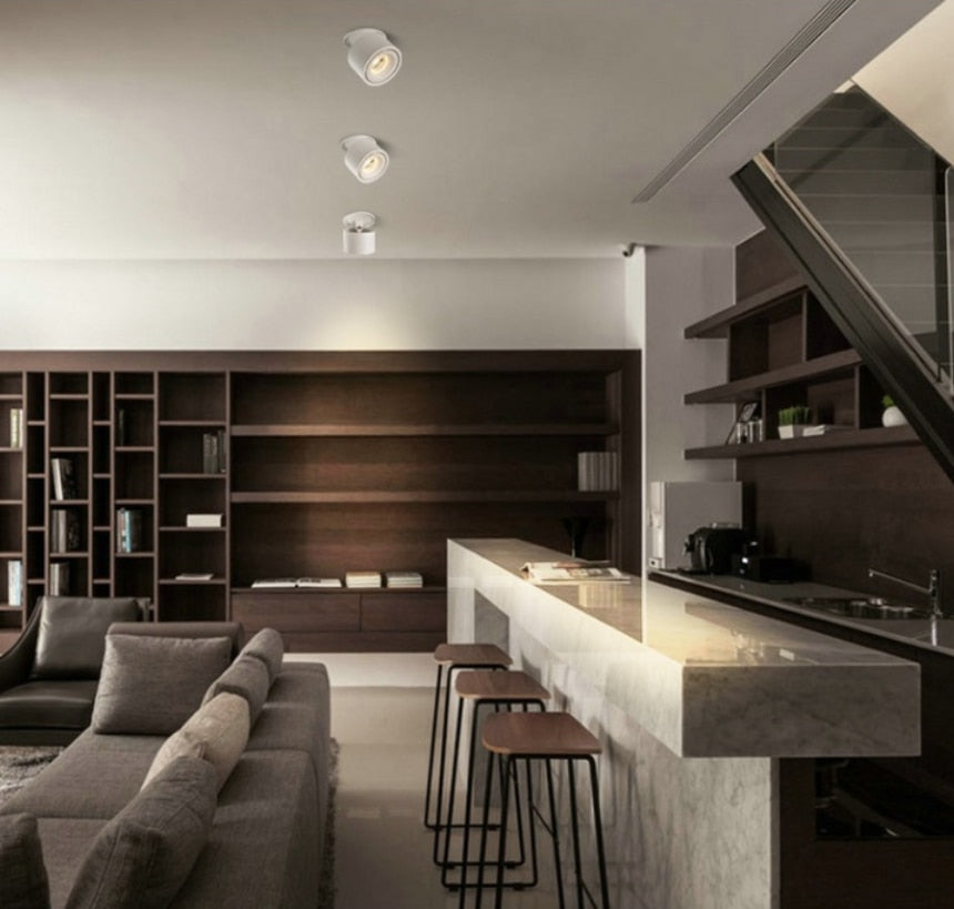 Adjustable Recessed Ceiling Downlights 7W 10W 15W Dimmable LED Recessed lamp Nordic Spot light for indoor Spot lighting fixture