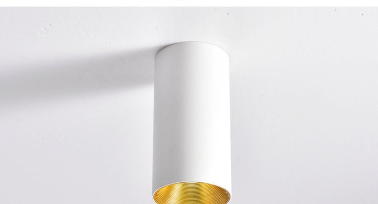 AC85-220V LED Surface Ceiling Light Fixtures For Dining Room Lighting Bar Shop Restaurant Indoor Home Lamp Aluminum Lampshade