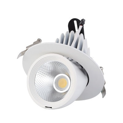 LED trunk light COB LED gimbal light 10W 15W 30W Warm White Cold White COB LED gimble lamp rotatable led downlight Adjustable