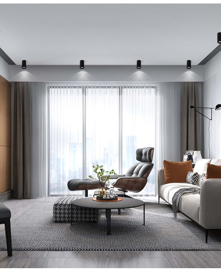 Modern Surface Mounted Downlight Led Aluminum COB Spot Led Lamp Ceiling Lamp 15W 20W High Brightness For Home Stores Office