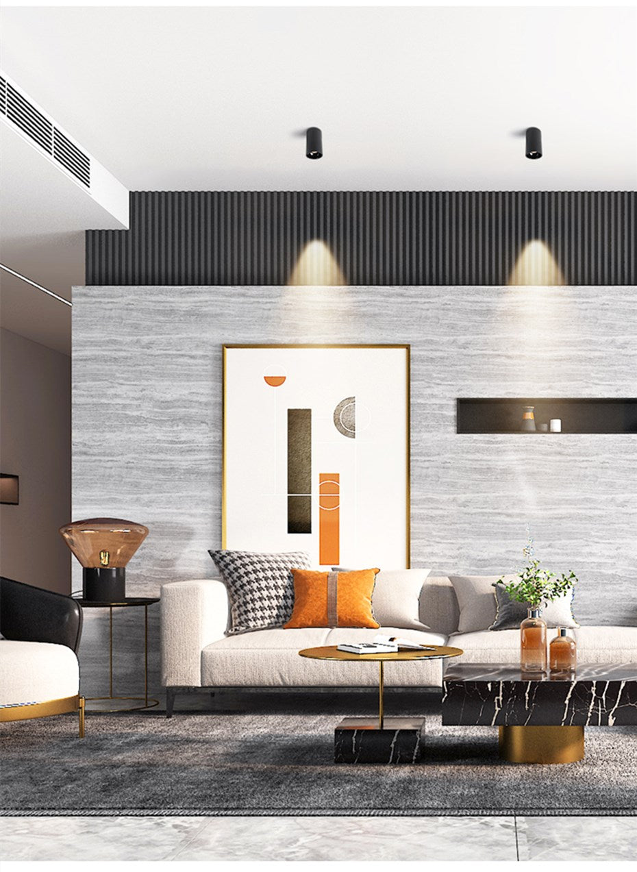 Modern Surface Mounted Downlight Led Aluminum COB Spot Led Lamp Ceiling Lamp 15W 20W High Brightness For Home Stores Office