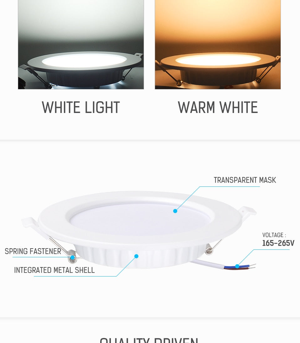 LED Downlight 12W 20W Recessed Round LED Ceiling Lamp AC 220V Indoor Lighting Warm White/White