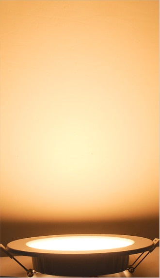 LED Downlight 12W 20W Recessed Round LED Ceiling Lamp AC 220V Indoor Lighting Warm White/White