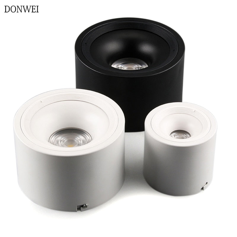 Surface Mounted Ceiling Downlight 9W 18W 24W 30W AC85-265V lamp COB Led downlights Indoor Ceiling Spot light +led driver